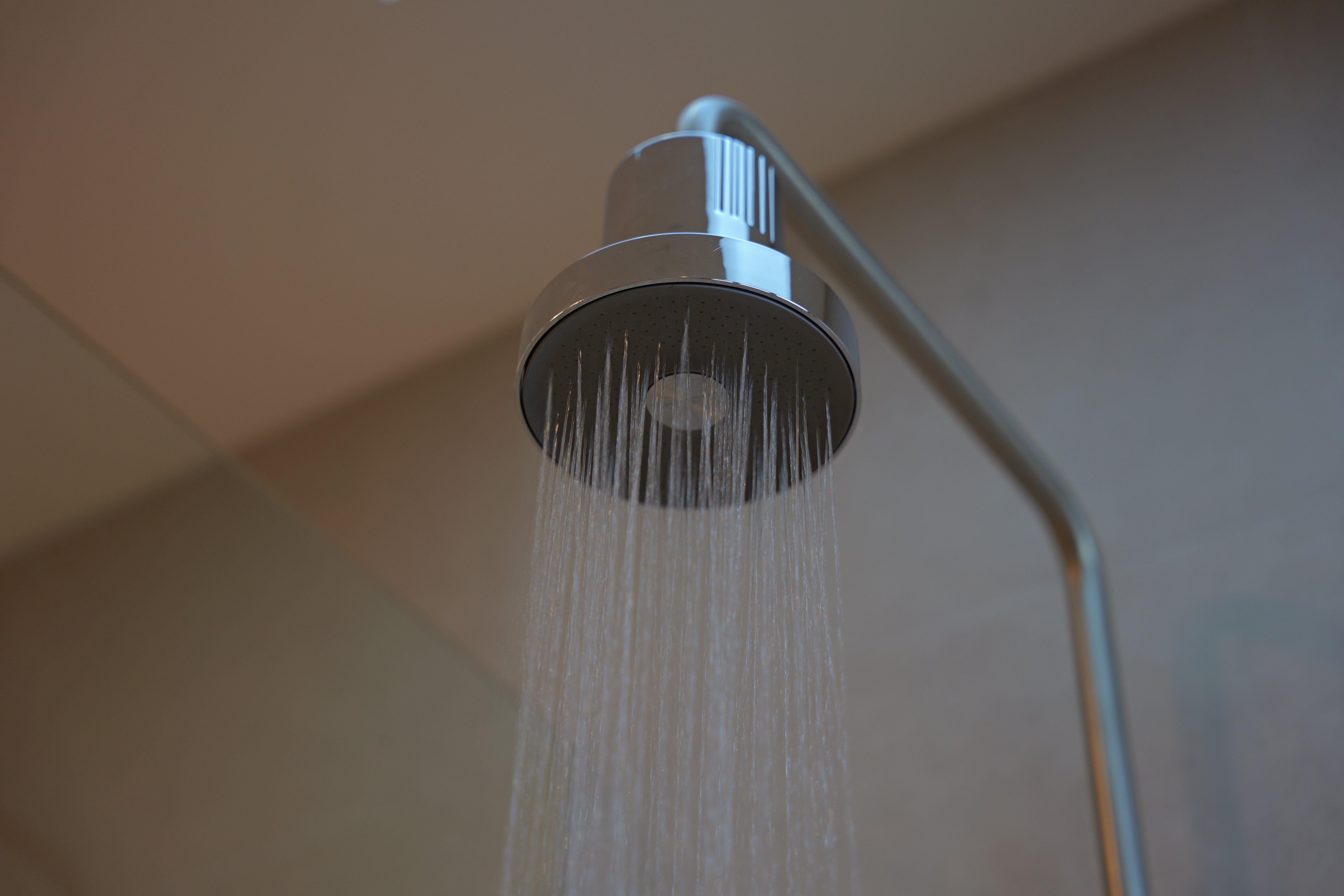 Rainfall Shower Filter
