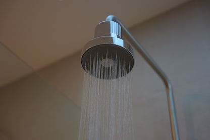 Rainfall Shower Filter