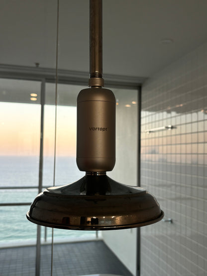Rounded Silver Shower Filter